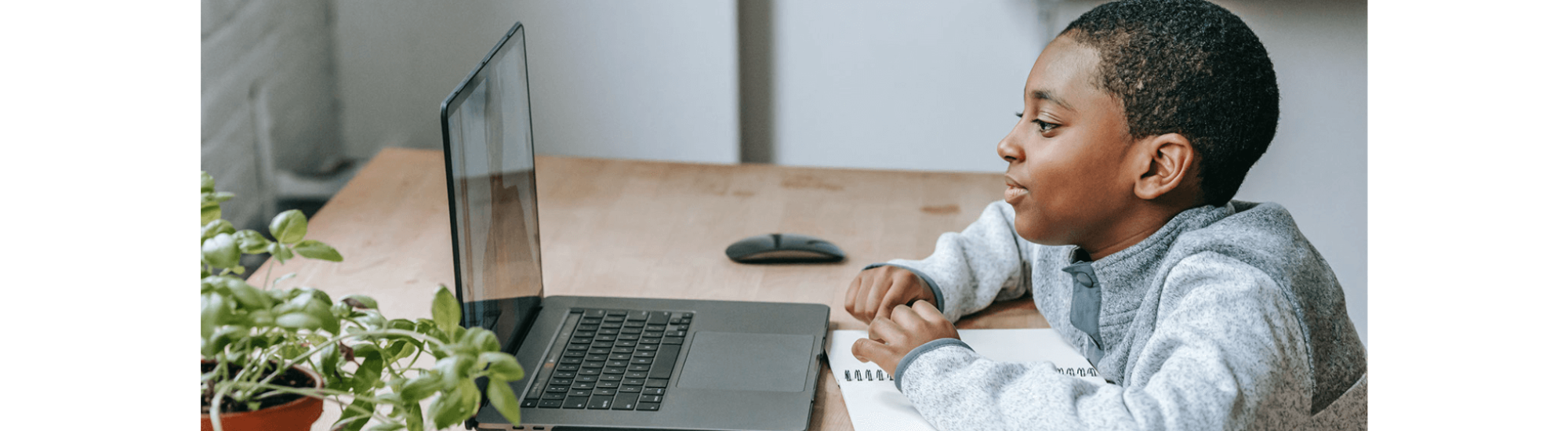Young boy learning at computer.